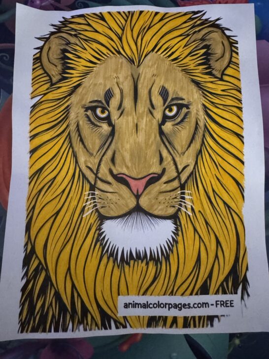 Realistic Lion Head Lion Coloring Page (Free)