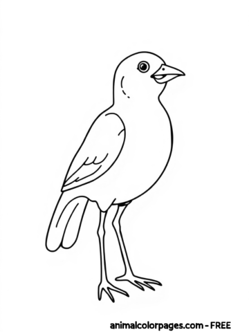 Simple easy bird facing Right coloring page