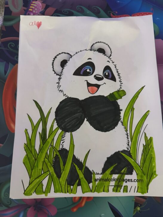 Cute Animal Coloring Pages for Kids (Free)