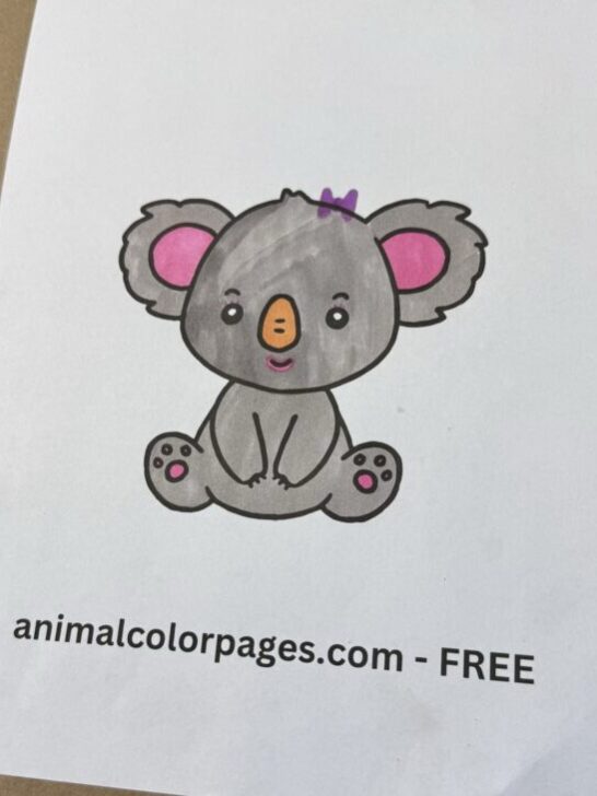 Koala Coloring Page Free Printable (2025)
