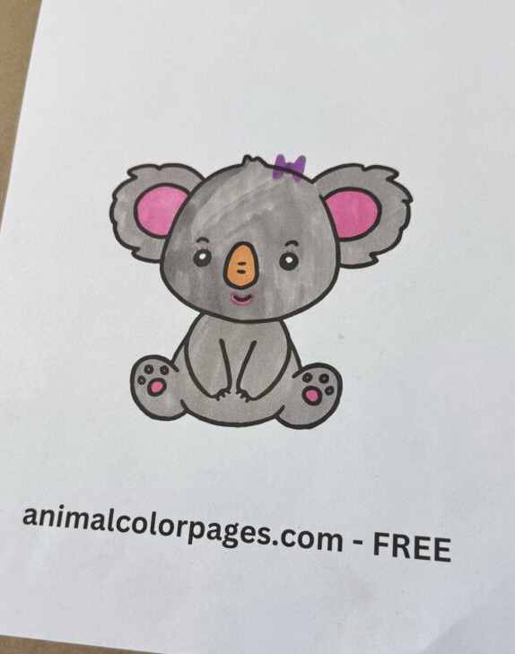 Koala Coloring Page Colored cute grey colored with orange nose