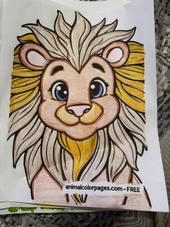 Coloring Contest Pages for Kids Jan 2025 🦁 Free