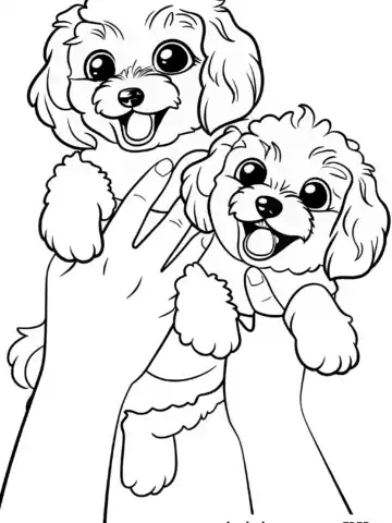 goldendoodle-coloring-page-77-t
