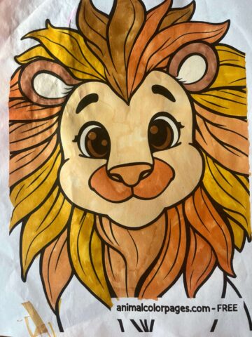 This is a colored picture of a lion. The lion is covered in black and brown and gold and it is a for the February 2025 coloring page contest and it’s the winners colored page